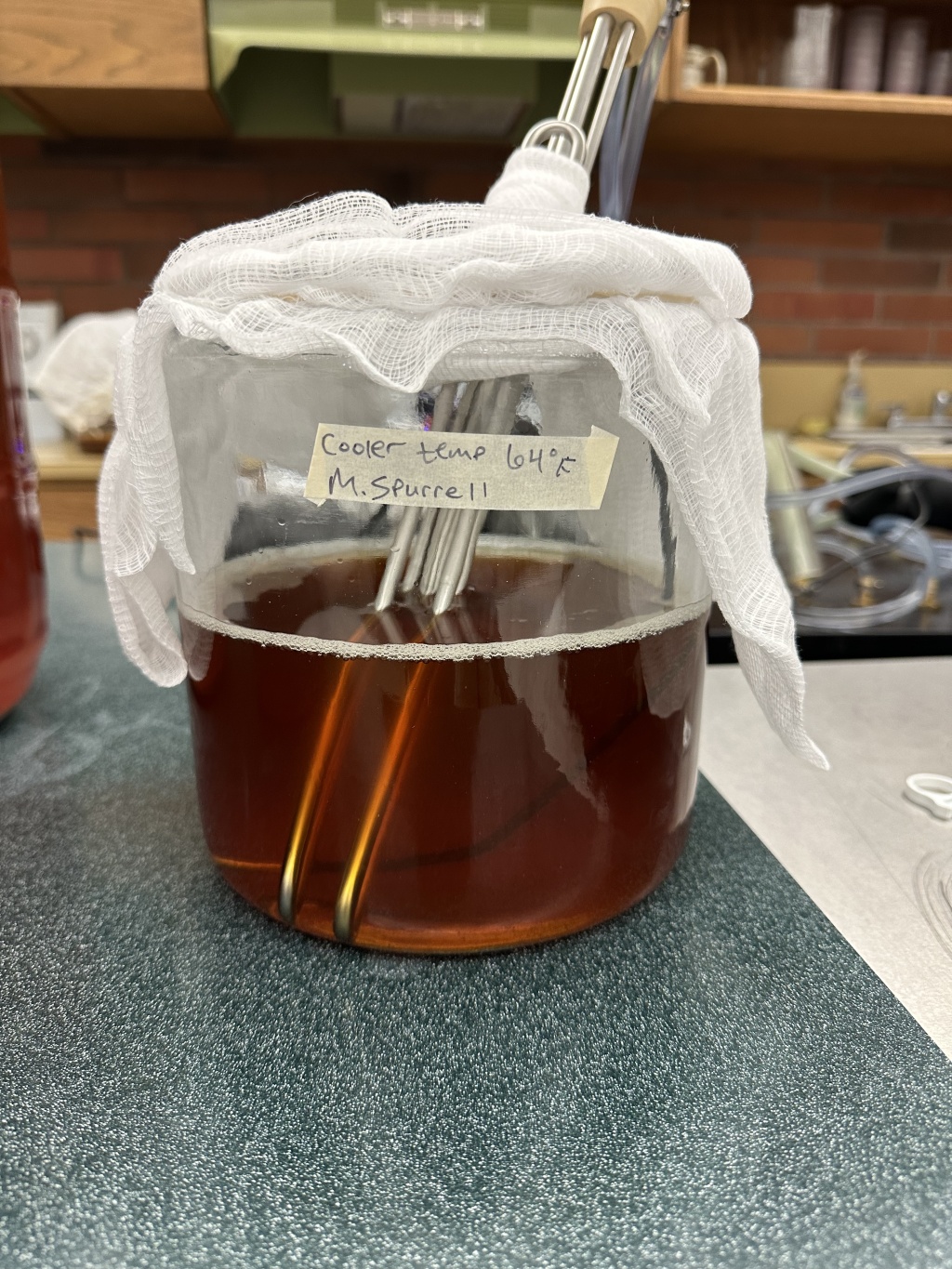 Impact of Temperature on SCOBY Growth.